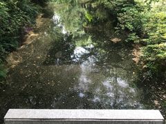 -红梅公园