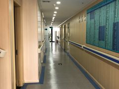 -喜多萌中农锦绣动物医院24H·猫科·牙科MRI·CT