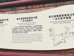 -莫尔道嘎国家森林公园