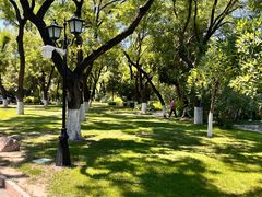 -农园餐厅(北京大学店)