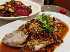 -杨氏青龙虾·羊蝎子(托乐嘉店)