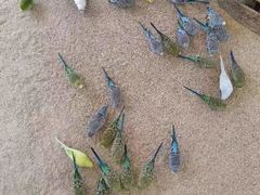 -珠海海泉湾神秘岛亲子乐园