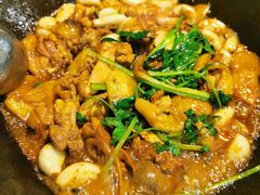 -九道菜有鸡鱼头(石鼓路店)