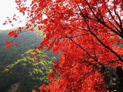 -北京鹫峰国家森林公园