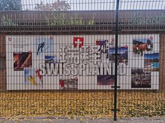 -三里屯东五街银杏大道