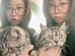 -柯斗斗主题餐厅·狗咖·围炉煮茶·茶饮(国瑞升平里店)