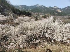 -崂山九水游览区