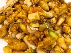 鸿运八珍豆腐-桃子餐厅·天津菜(红星路直营店)