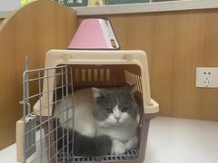 -联合动物医院(光谷诊疗中心)