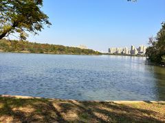 -金银湖国家城市湿地公园
