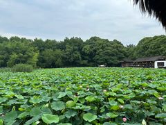 -兰亭风景区