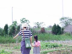 -阳澄湖半岛旅游度假区