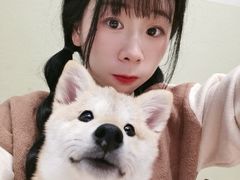 -逗柴咖啡屋·狗咖猫咖宠物桌游