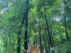 -吉林市朱雀山国家森林公园