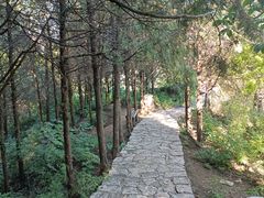 -北京凤凰岭