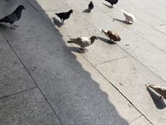 -南华禅寺