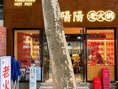 -阳阳老火锅(小南门店)
