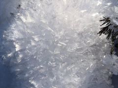 -渔公馆·川菜馆·家宴·生日宴(大地中央广场店)