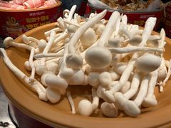 -龍歌自助小火锅(漳州二路爱购店)