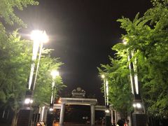 -燕鸣岛