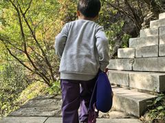 -秦岭终南山世界地质公园翠华山景区