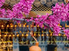 -西安市广仁寺