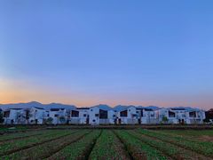 景点-东梓关景区村庄