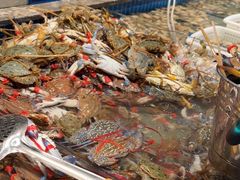 -一方渔歌蒸汽海鲜自助(文化路万达广场店)