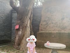 -仓颉庙