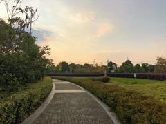 -九里河湿地公园