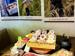-菌自由丨野生菌火锅特色庭院餐厅(丽江古城店)