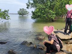 -宝安西湾红树林湿地公园