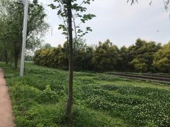 -三圣花乡旅游区