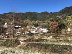 -塔川景区