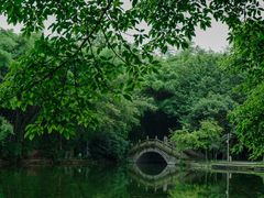-棠湖公园