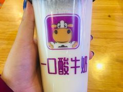 -一只酸奶牛(八一路店)
