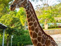 -泉州海丝野生动物世界