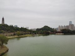 -顺峰山公园