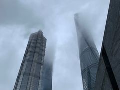 -上海柏悦酒店·世纪100牛排馆
