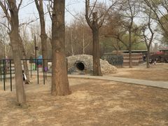 -北京麋鹿生态实验中心