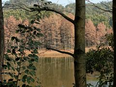 -青龙山国家森林公园