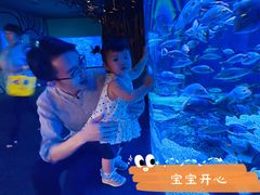 -成都浩海立方海洋公园