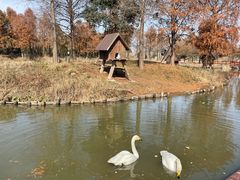 -宁波杭州湾国家湿地公园