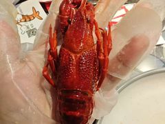 -指爱龙虾(金杨路总店)