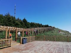 -白草畔自然风景区