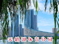 -天鹅湖体育公园