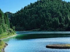 -武陵山森林公园