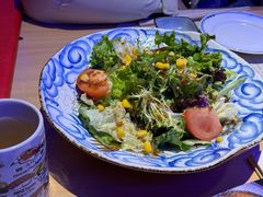 -琴寿司居酒屋(中山广场店)