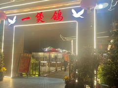 -一煲鸽