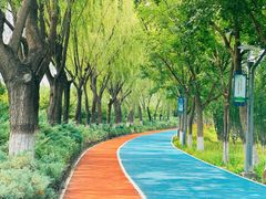 -大兴滨河森林公园